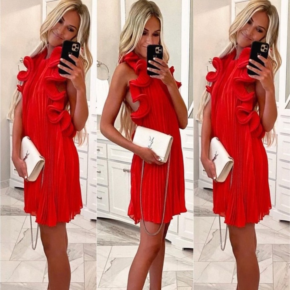 AMUR Mimi Pleated Ruffle Dress Pink Floral Red 2